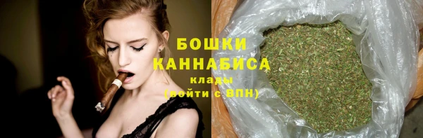 первитин Богданович