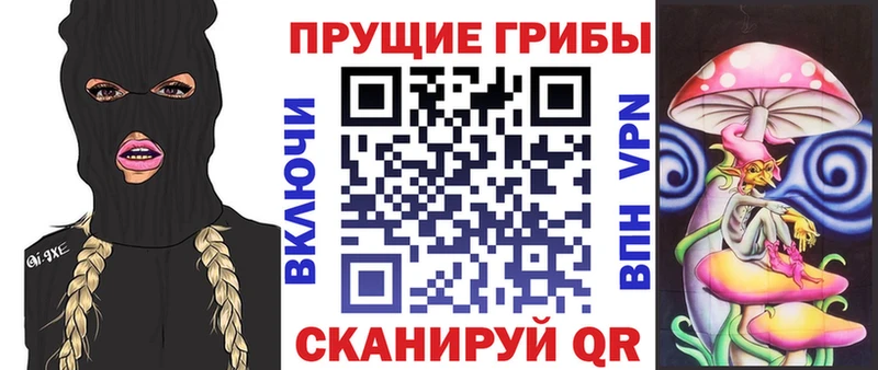 Галлюциногенные грибы MAGIC MUSHROOMS  Высоцк 
